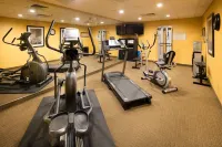 Sleep Inn & Suites North Mobile Saraland - Phòng Gym