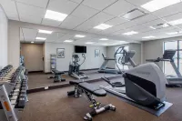 Sleep Inn & Suites Ankeny - des Moines - Træningscentre