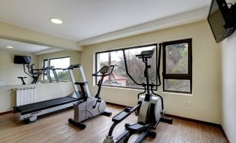 a well - equipped home gym with various exercise equipment , including treadmills and stationary bikes , near a window at Cambria