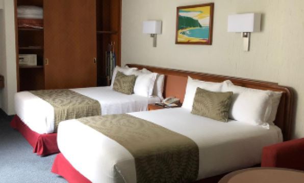 Hotel Metropol