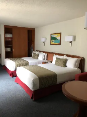 Hotel Metropol