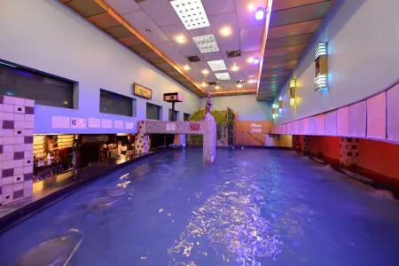 Hotel Shwe Gone Daing Отели в г. Kamayut