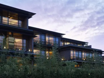 京都二條城悅柳