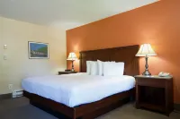 Village Inn Hotels in Springfield