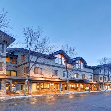 Homewood Suites by Hilton Jackson