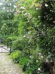 Rosindell Cottage Hotels in Bad Rothenfelde