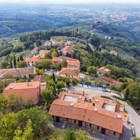 Agrifoglio