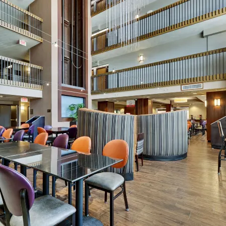 Drury Plaza Hotel San Antonio Airport Отели рядом с достопримечательностью «Художественный музей Макней»