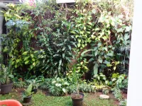 Kaoem Guesthouse Hotel a Reggenza di Cianjur