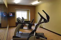 Microtel Inn & Suites by Wyndham Pecos - Gym