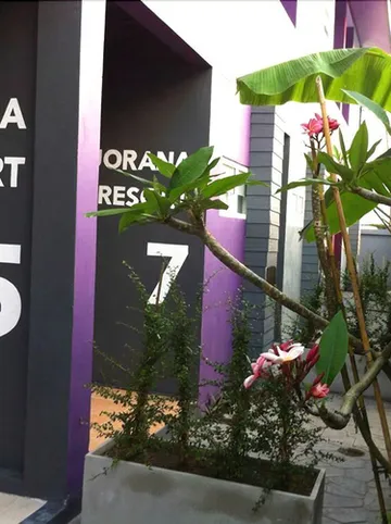 รูปภาพของเรือนบูรณา