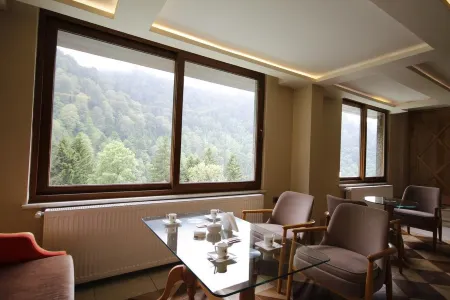 Ayderoom Hotel Отели в г. Yukarisimsirli Koyu