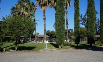 Blue Gum Motel - Housity