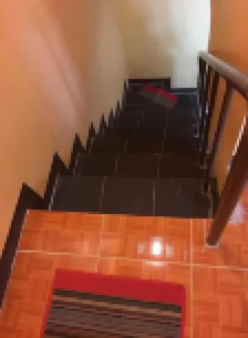 松樹大廈II房子