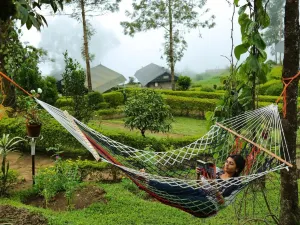 Nature Zone Jungle Resort