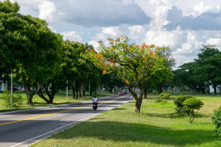 Amazing Condo in Premier la Grande Tower