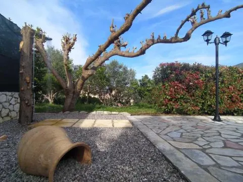 伊利亞赫泰德斯別墅