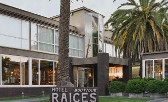 Hotel Boutique Raices