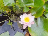 "Randulf" - 250m from the Sea