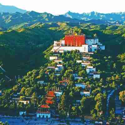 崔小廚公寓(小北溝路分店) Others