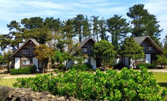 Log Park Dochidol Ranch