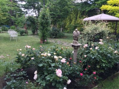 庭 プチホテル＆レストラン オールドエイジの写真