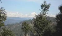 The Rudransh Inn Hotels in Bageshwar