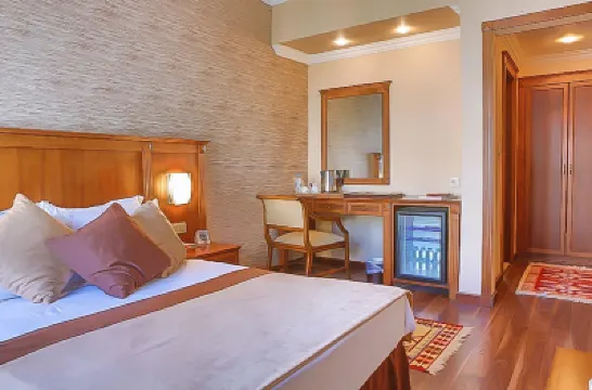 Elit Palas Hotel Hotels near Vakif Eserleri Museum