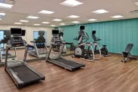 Holiday Inn Express & Suites OTTAWA by IHG Hotels in Ottawa