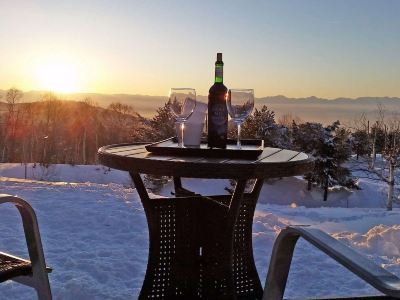 共有エリア 時空の杜の写真