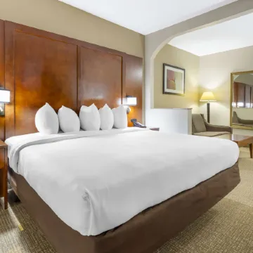 Comfort Suites Inn at Ridgewood Farm Отели в г. Сейлем