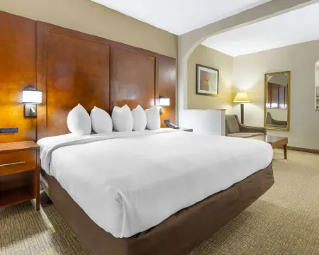 コンフォート スイーツ イン アット リッジウッド ファーム セーレムのホテル