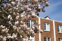 Parkhotel - Rosarium Hotels in Kollmar