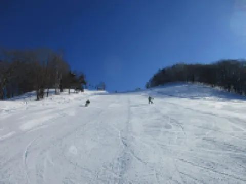 Remote Mountain Pension Radish