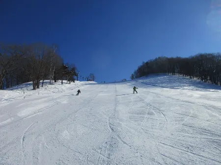 Remote Mountain Pension Radish