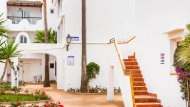 Globales Bouganvilla