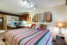 Snowline Lodge Condo #46 - Great for Skiers and Hikers on a Budget! Now Has Wifi