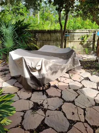 The Mermaid Jungle House W/Private "Heated" Pool Отели в г. Джун-Парк