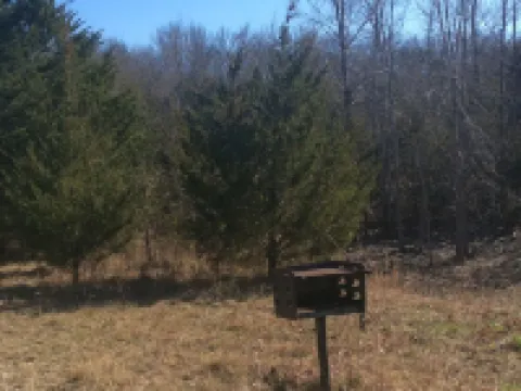 Cute Cabin! Secluded and surrounded by Nature.