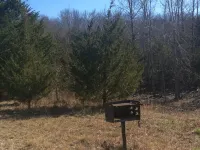 Cute Cabin! Secluded and surrounded by Nature.