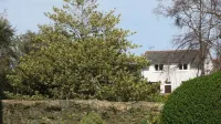 Detached House in Ploumanach - 4 People - the Beach at the End of the Street. - 2-Star