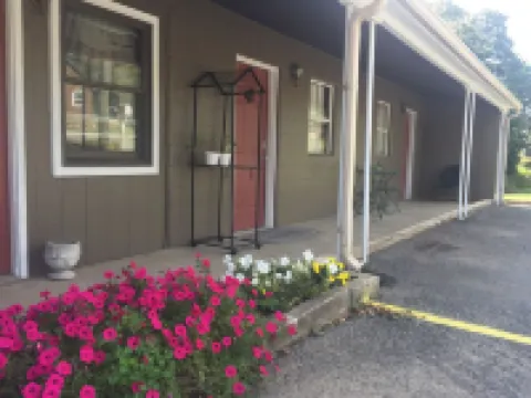 The Raccoons Den in the quaint Village of Aurora