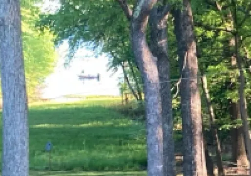 Red Cabin on Kentucky Lake.  Peaceful and pet friendly with a partial lake view.