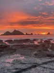 Oceanfront, Amazing Sunsets, Whales, Surfing, Biking, Short walk to beach