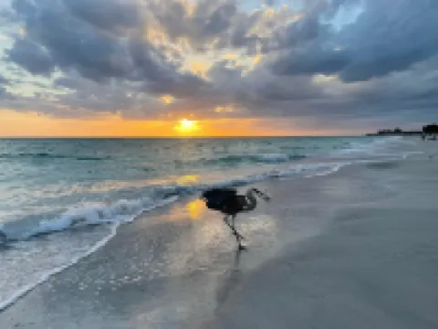 Stunning Canal Condo - Walk to Beach - Sleeps 4