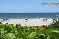 Dip n' Sip Oasis: Heated pool, close to the beach & Atlantic ave! - ビーチサイド