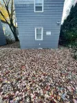 Falcon’s Corner Retreat; cozy ground floor apt