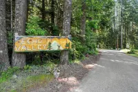 Cabin at Rainier: New-AC-WiFi-Lg. Yard