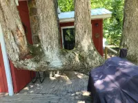 " Nottely River Retreat" Hotels in Notla