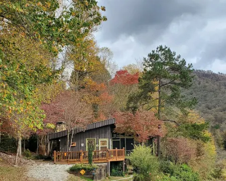 Mountain view cabin, fully remodeled, huge screen in porch with panoramic view. Hotels in Cowee